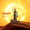 About Dø I Norden Tobias Rahim Remix Song