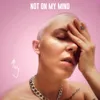 About Not On My Mind Song