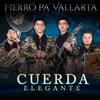 About Fierro Pa' Vallarta Song