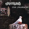 Palabras Tristes-Con Mariachi