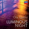 About Luminous Night Song