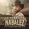 About La Correcta-Versión Regional Song