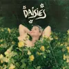 About Daisies Song