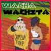 About Wacha Wachita Song