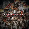 About Team Spirit Song