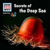 Secrets Of The Deep Sea - Part 01