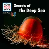 Secrets Of The Deep Sea - Part 07