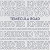 About Never Knew I Needed You-Acoustic Song