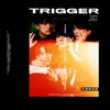 About Trigger Song