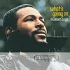 What's Going On-Single Version / Mono