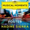 About Foster: Beautiful Dreamer (Arr. Coughlin for Voice and Orchestra) Song