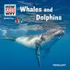 Whales And Dolphins - Part 01