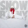 About Snowbunny Song