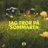 About Jag tror på sommaren Song