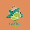 About Cocktail Song