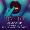 About Bajito Remix Song