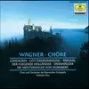 Wagner: Der fliegende Holländer / Act 3 - "Steuermann, lass die Wacht!" (nur Chor)