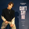 About Can't Say No Song