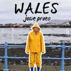 About Wales Song