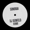 About Sonoran DJ Seinfeld Remix Song