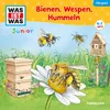 Blaue Bienen und Hornissenkämpfe - Teil 02