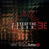 Eye Of The Tiger TOMER G & MARKO Extended Dance Mix