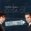 About Cosa C'è From "Fratelli unici" Song