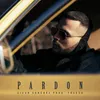 About Pardon Song