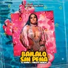 About Báilalo Sin Pena Song