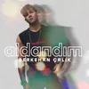 About Aldandım Song