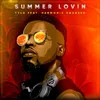 About Summer Lovin Song