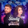 About Ślady. Jak Zostać Gwiazdą Song