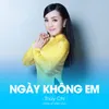 About Ngày Không Em Song