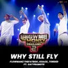 About WHY STILL FLY Song