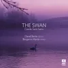 About The Swan Song