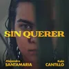 About Sin Querer Song