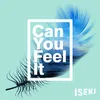 About Can You Feel It Song