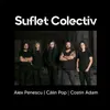 About Suflet Colectiv Song