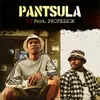 About Pantsula Song