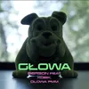 About Głowa Song