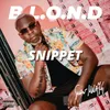 About B.L.O.N.D-Snippet Song