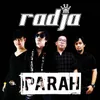 About Parah Song