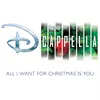 About All I Want for Christmas Is You Song