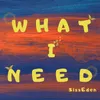 About What I Need Song