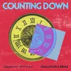 About Counting Down Smallpools Remix Song