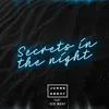 About Secrets In The Night Song