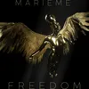 About Freedom Song