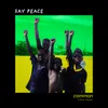 About Say Peace Song