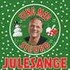 Juletræet Med Sin Pynt