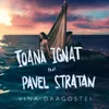 About Vina dragostei Song